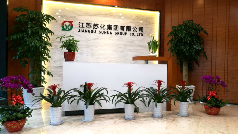 挂灯笼，贴春联  jn江南体育科技园内年味浓