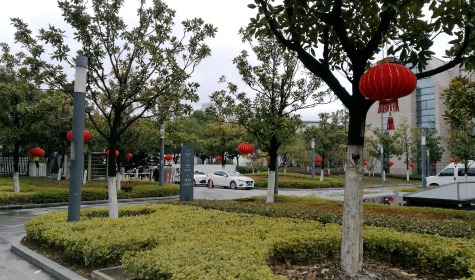 挂灯笼，贴春联  jn江南体育科技园内年味浓