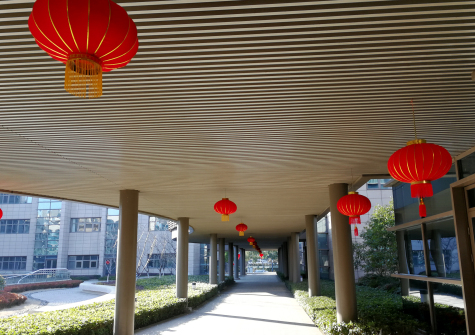 挂灯笼，贴春联  jn江南体育科技园内年味浓